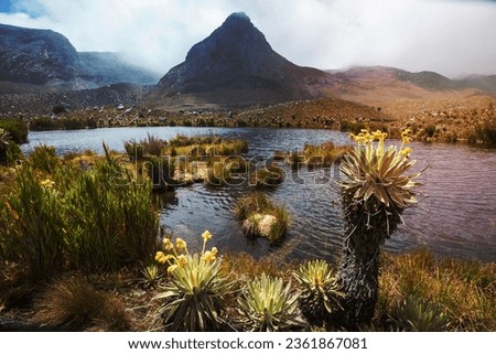 Beautiful high mountains in Colombia_* Royalty-Free Stock Photo #2361867081