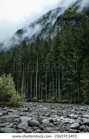 Moody atmosphere during a rainy and foggy day near the river of Val di Genova, Trentino Alto Adige, Northern Italy Royalty-Free Stock Photo #2361913493