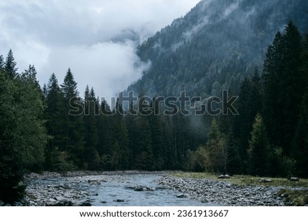 Moody atmosphere during a rainy and foggy day near the river of Val di Genova, Trentino Alto Adige, Northern Italy Royalty-Free Stock Photo #2361913667