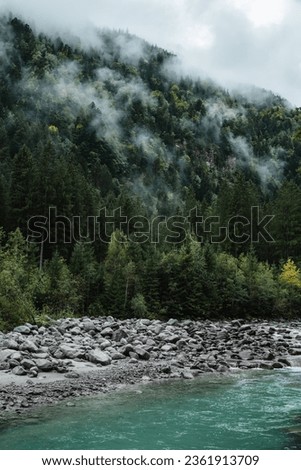 Moody atmosphere during a rainy and foggy day near the river of Val di Genova, Trentino Alto Adige, Northern Italy Royalty-Free Stock Photo #2361913709