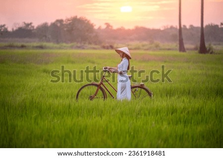 Beautiful Vietnamese woman wearing traditional dress with bicycle walk pass rice field on sunrise time ,lifestyle of farmer in Vietnam with sugar palm tree background. Royalty-Free Stock Photo #2361918481