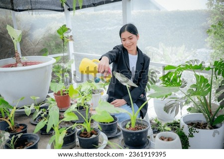 A woman spraying water on spraying variegated plants while dealing with customers on phone