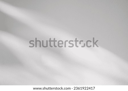 Backdrop background,Concrete Texture with Leaves Shadow and Sunlight shining on wall,Empty White,Grey Cement Studio Room display with light reflection from window,Banner for Cosmetic Product Present 