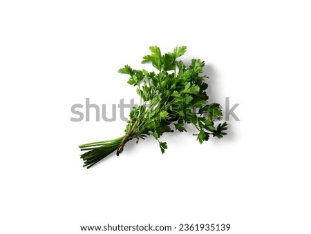 Bunch of parsley isolated white background