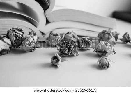 Dried rose next to an open book. Black and white photo - open books and a dry rose.