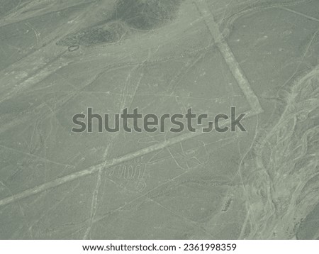 [Peru] The whale geoglyph, Lines and Geoglyphs of Nasca (Nazca)