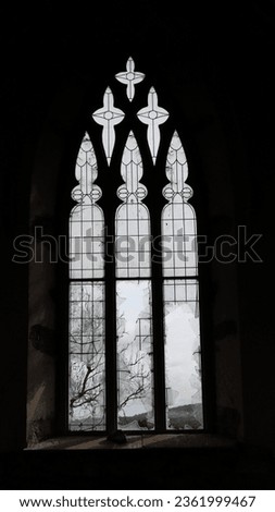 Gothic Window Horror Wild Scene Royalty-Free Stock Photo #2361999467
