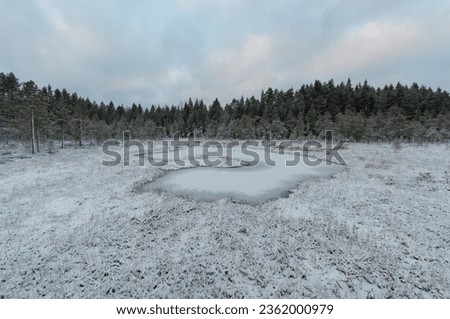 Frozen pond in the middle of snowy marshland and forests in the background in winter in Finland