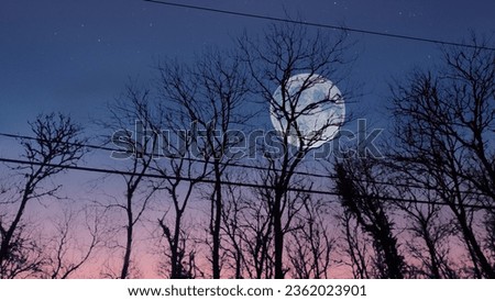 trees, moon and night in a small village in Semarang, 16 January 2021.
