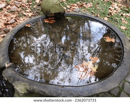 Autumn leaves reflected in a puddle of water, autumn background