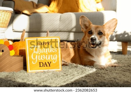 Corgi dog with greeting card for Thanksgiving Day at home