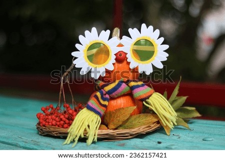 orange pumpkin wearing daisy glasses and a colored scarf
