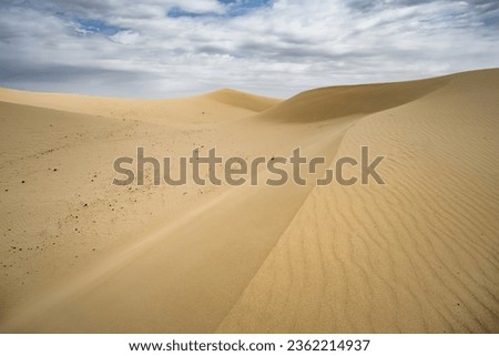 Sand dunes in the Senek desert in the Kazakh desert, sand texture in the desert Royalty-Free Stock Photo #2362214937