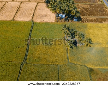 drone shot aerial view top angle bright sunny farm farmhouse hay landscape wallpaper background india tamilnadu tourism village countryside peak yellow agricultural paddy fields cultivation