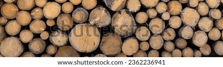 banner or large pine tree trunks stacked, panorama