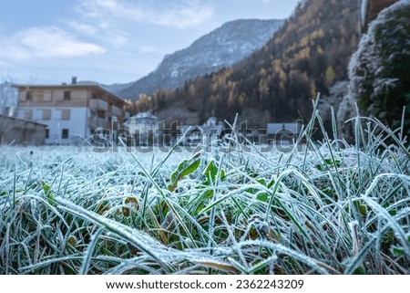 Grass with frost - Hallstatt, Austria Royalty-Free Stock Photo #2362243209