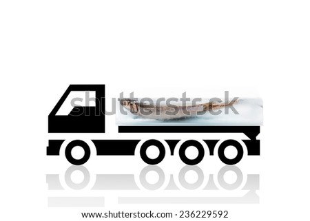 Fresh anchovy fish frozen in ice block on cooling truck isolated on white background. Fresh seafood transportation background. Fresh fish.