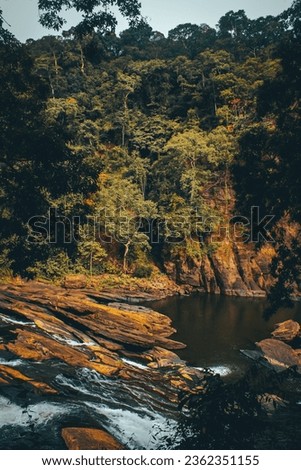  beutiful waterfall scenic image with trees forest colour graded high quality image depth of forest Royalty-Free Stock Photo #2362351155