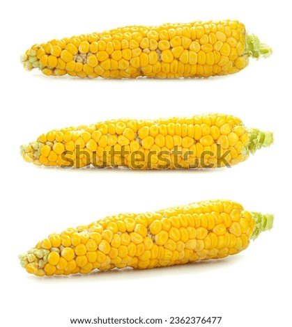 Yellow corn cobs isolated on a white background