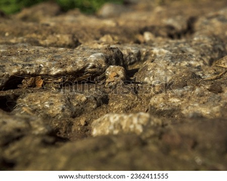Close-up photo of stones on the ground