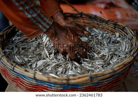 Fresh anchovies fish in baskets for sale at seafood market                               