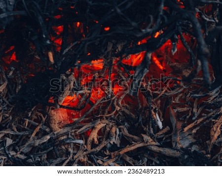 Picture taken next to the coals of fire.september 9th shooted pic, near my house