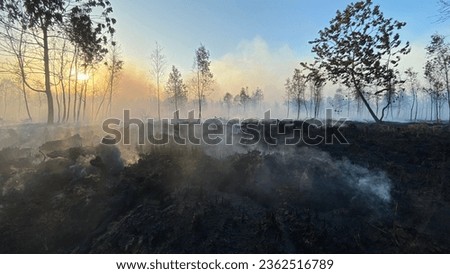 Tens of hectares of peat land burned in the ring one area of Banjarmasin's Syamsudin Noor International Airport in Banjarbaru, South Kalimantan, Indonesia, Wednesday 13 September 2023. Royalty-Free Stock Photo #2362516789