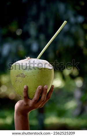 Tender coconut is the unprocessed young coconut and is Fresh, natural and healthy. Its a pure and tasty energy drink with rich vitamins, minerals, glucose, fructose, proteins. It has high potassium co Royalty-Free Stock Photo #2362525209