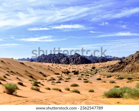 A picture of a sandy desert in Saudi Arabia, dotted with green grass and a blue cloudy sky above it