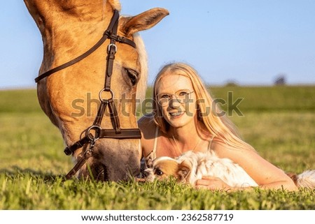 A young blonde woman enjoying time with her chihuahua dog and der haflinger horse in summer outdoors during sundown