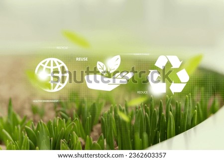 Ecological waste management concept. 3 recycle icons, Green sprouts on soil with bokeh background.