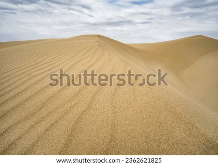 Sand dunes in the Senek desert in the Kazakh desert, sand texture in the desert Royalty-Free Stock Photo #2362621825