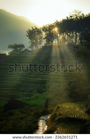 rays of light farmer in the fields