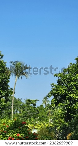 Beautiful Natural Sennery  Green trees clouds.