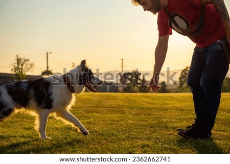 young man teaching his border collie dog the command "come here" at sunset in a field. dog training