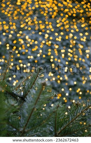 Christmas lights and fir branches. Christmas texture for postcards. Garland with lights on Christmas tree. Place for advertising. Vertical photo.