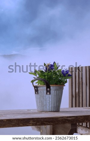 A vase of flowers among the clouds that envelop the mountains.