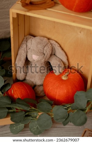 Orange pumpkin with plush bunny in greenery