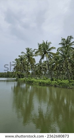 kerala backwaters in akalapuzha, kozhikode.  Royalty-Free Stock Photo #2362680873