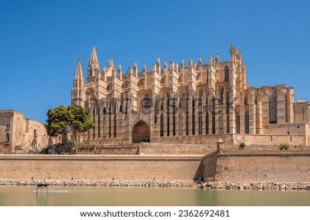 Amazing gothic Palma Cathedral o in Palma.