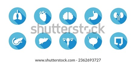 Human internal organ circle icon. Flat design illustration with long shadow. Lung and heart, brain and stomach, kidneys and liver, uterus and pancreas, bladder and large intestine