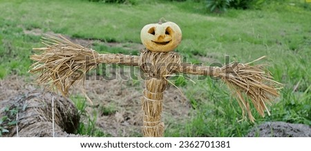 Halloween scarecrow at old haystack and green field I made these for Halloween this October.