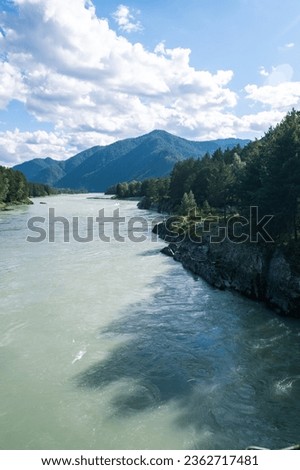 A wide, full-flowing mountain river with a fast current. Large stones stick out of the water. The large turquoise-colored mountain river Katun in the Altai Mountains, Altai Republic.