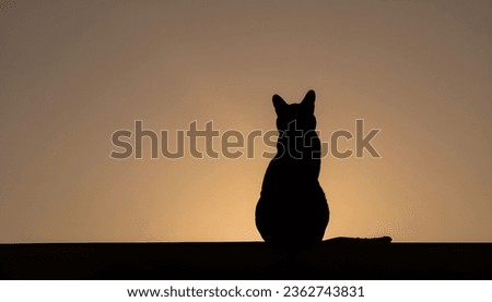 A close-up of a cat silhouette  Royalty-Free Stock Photo #2362743831