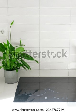 Home kitchen. Vitroceramic stove against white tiles wall, green plant on a pot. Vertical shot with copy space.