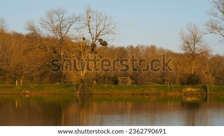 Lake of Nerbis, in the Chalosse, in Landes department, during sunset