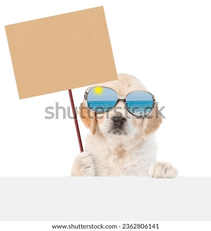 Funny Golden Retriver puppy wearing mirrored sunglasses shows empty placard above empty white banner. isolated on white background