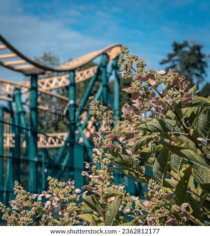 Amusement park rides with a blue sky and flowers bush concept photo. 