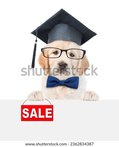 Smart golden retriever puppy holds signboard with labeled "sale" and looks above empty white banner. isolated on white background