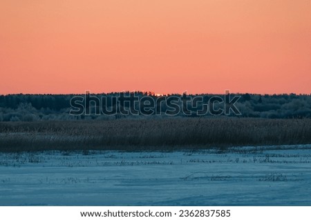 Winter sunrise behind the forest and reeds in river delta of Kokemäenjoki in Pori in Finland